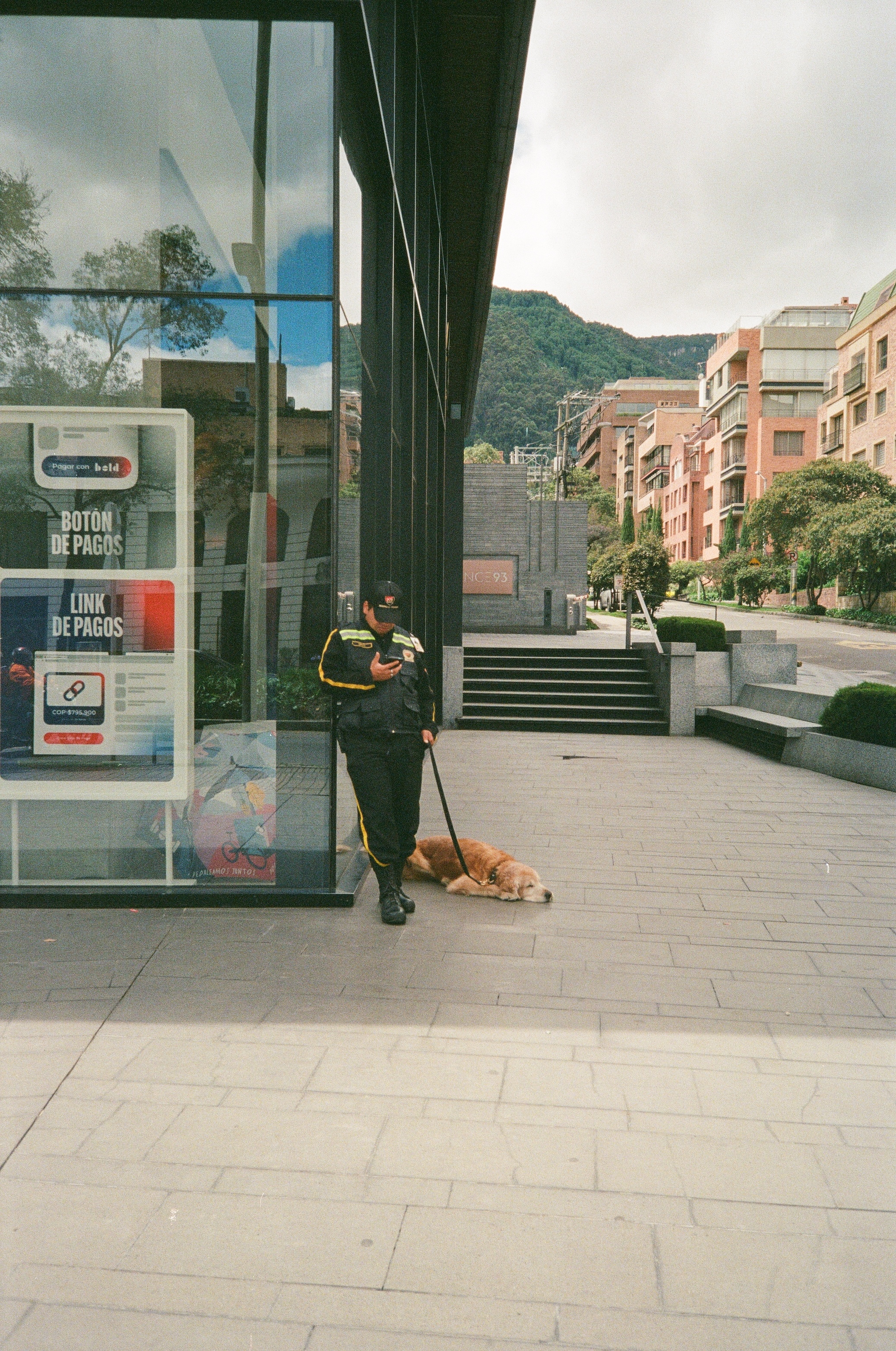 Distracted - Bogota 2025