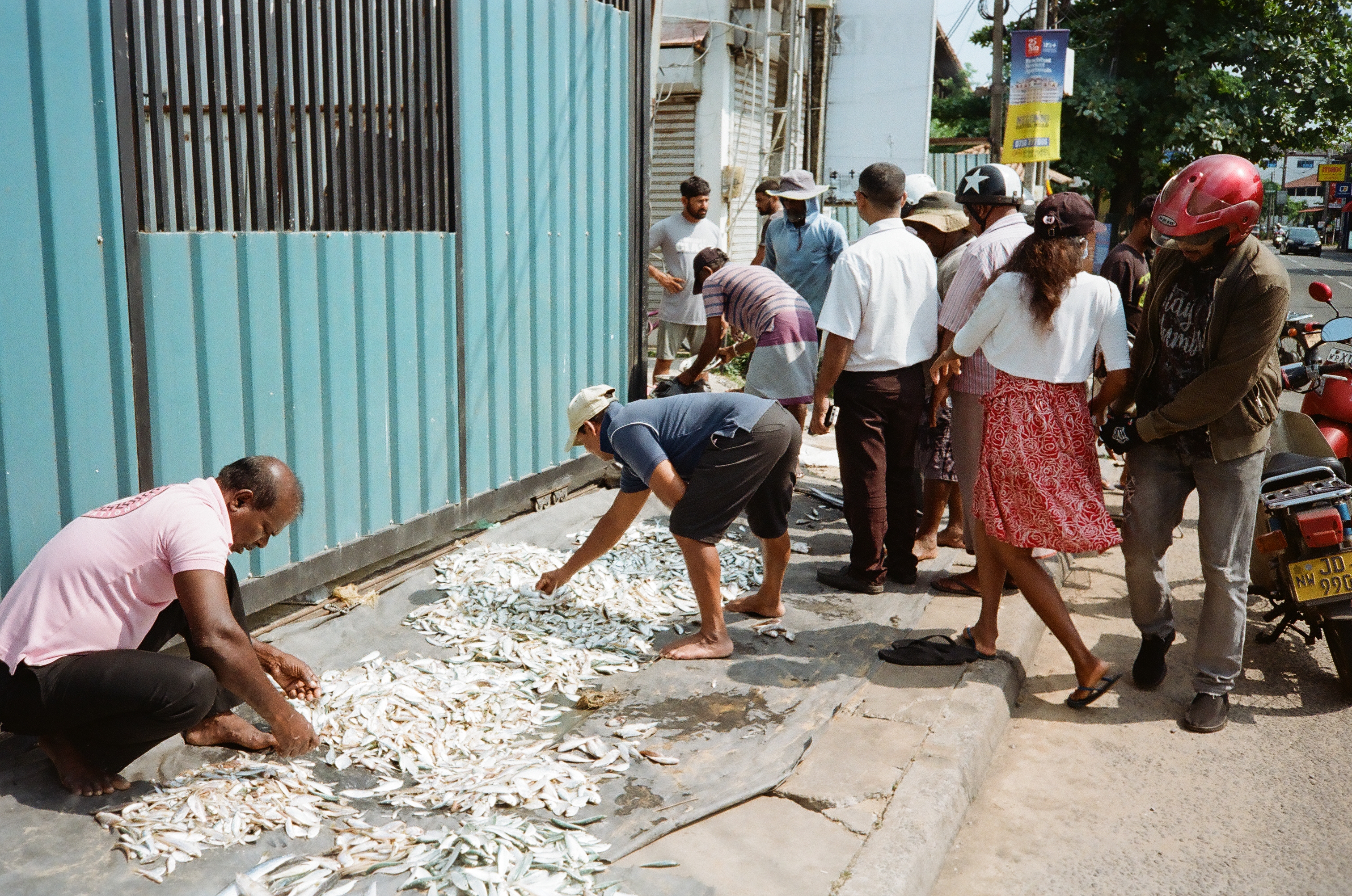 Fish Market - Negombo 2025
