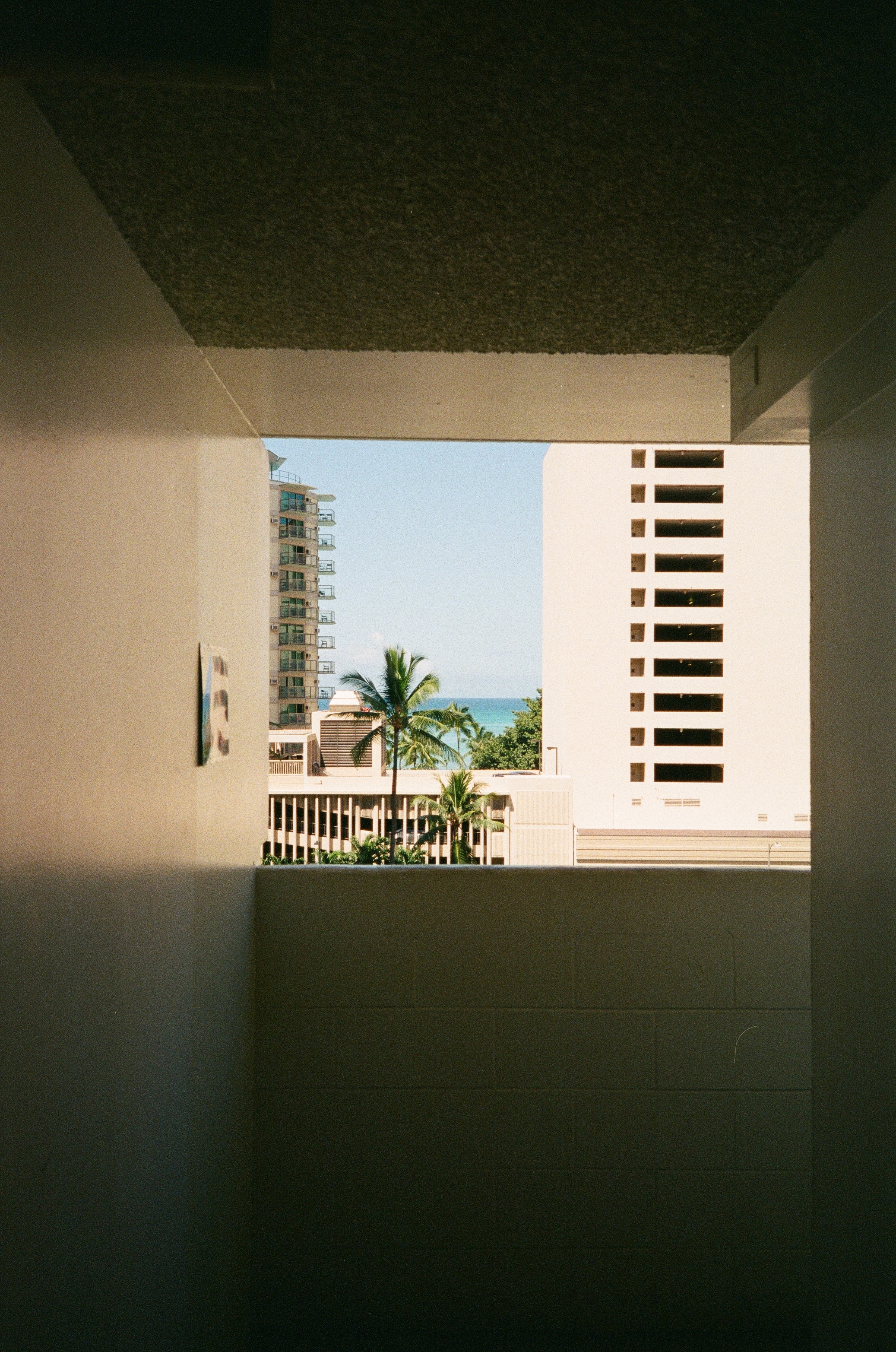 Paradise - Honolulu 2025